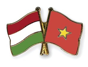 Flag-Pins-Hungary-Vietnam