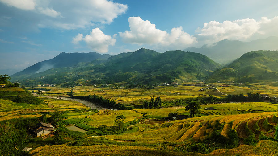 Land Rights in Vietnam What Are They and How You Can Acquire Land