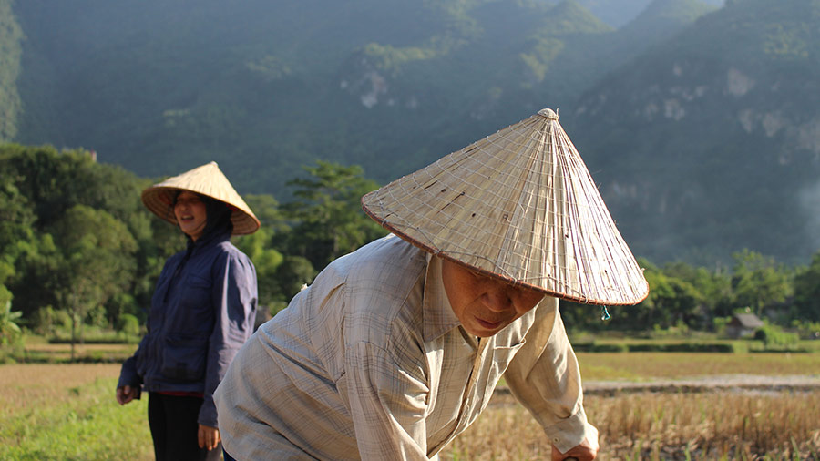 Vietnam’s Business License Tax Exemption: Highlights of Decree 22
