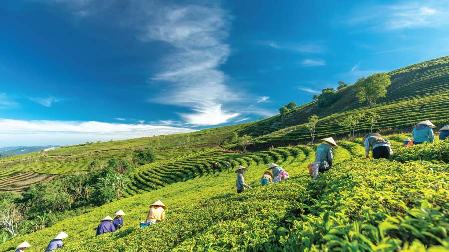 Vietnam’s Regional Labor Market: Labor Cost and HR Strategy