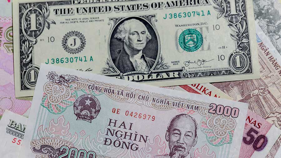 What the US' Currency Manipulator Label Means for Vietnam