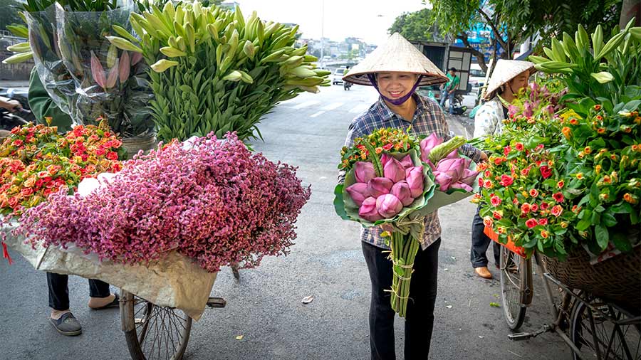 Vietnam Floriculture Market and Foreign Flower Firms
