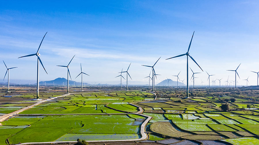 Việt Nam sẽ thiết lập giá năng lượng mặt trời và gió hàng năm theo quy định mới
