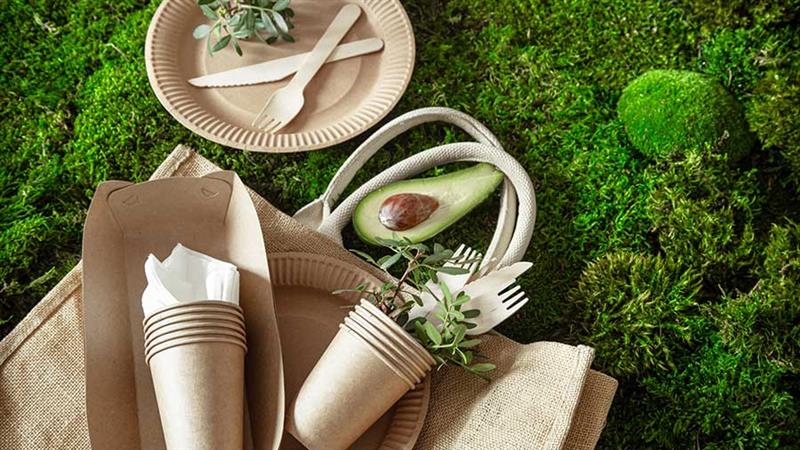 Sourcing Biodegradable Packaging in Vietnam: Regulatory and Market Overview