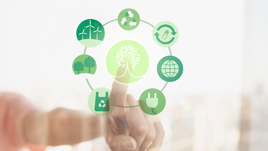 Vietnam’s IFRS Sustainability Terminology Translation: Why It Matters